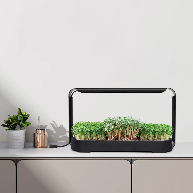 Microgreens Self Watering Hydr - đánh giá và giá Self-Watering Planter