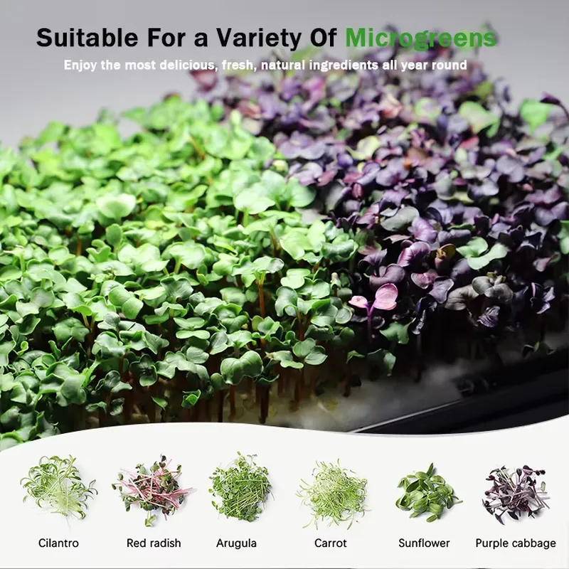 Microgreens Self Watering Hydr - đánh giá và giá Self-Watering Planter