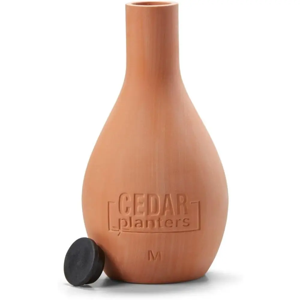 Self-Watering Ceramic Olla Pot - đánh giá và giá Self-Watering Planter